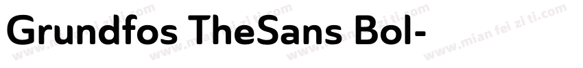 Grundfos TheSans Bol字体转换